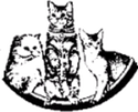 Standard templates