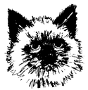 Standard templates