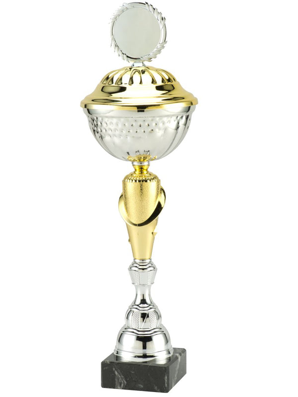 Trophy, silver/gold, 30 cm - 49 cm