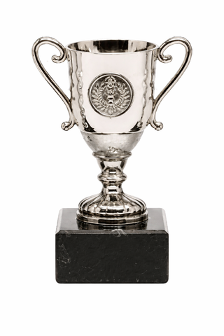 52020 Trophy, silver, 11 cm - 15 cm